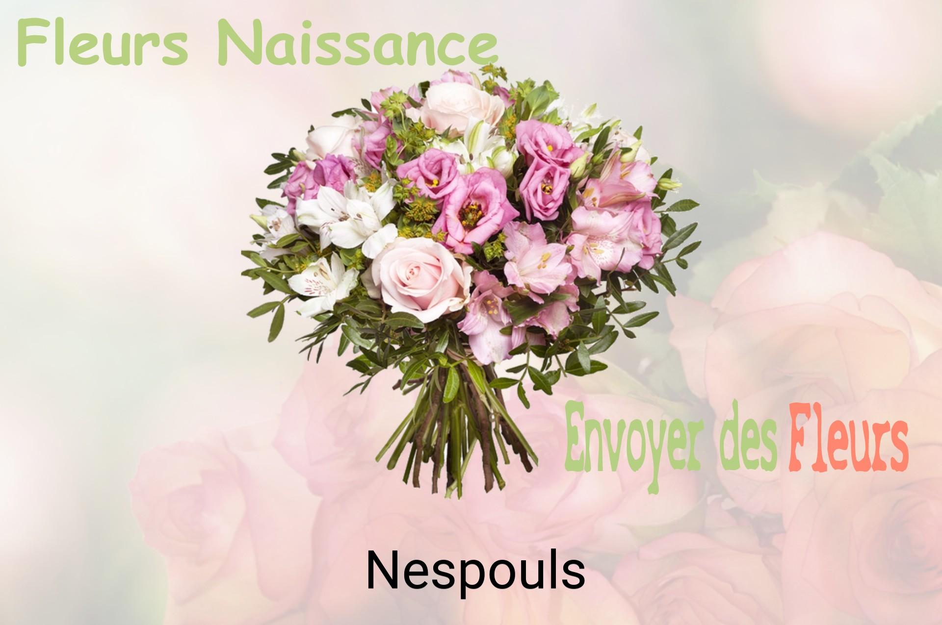 Bouquet de fleurs de naissance livré à Nespouls