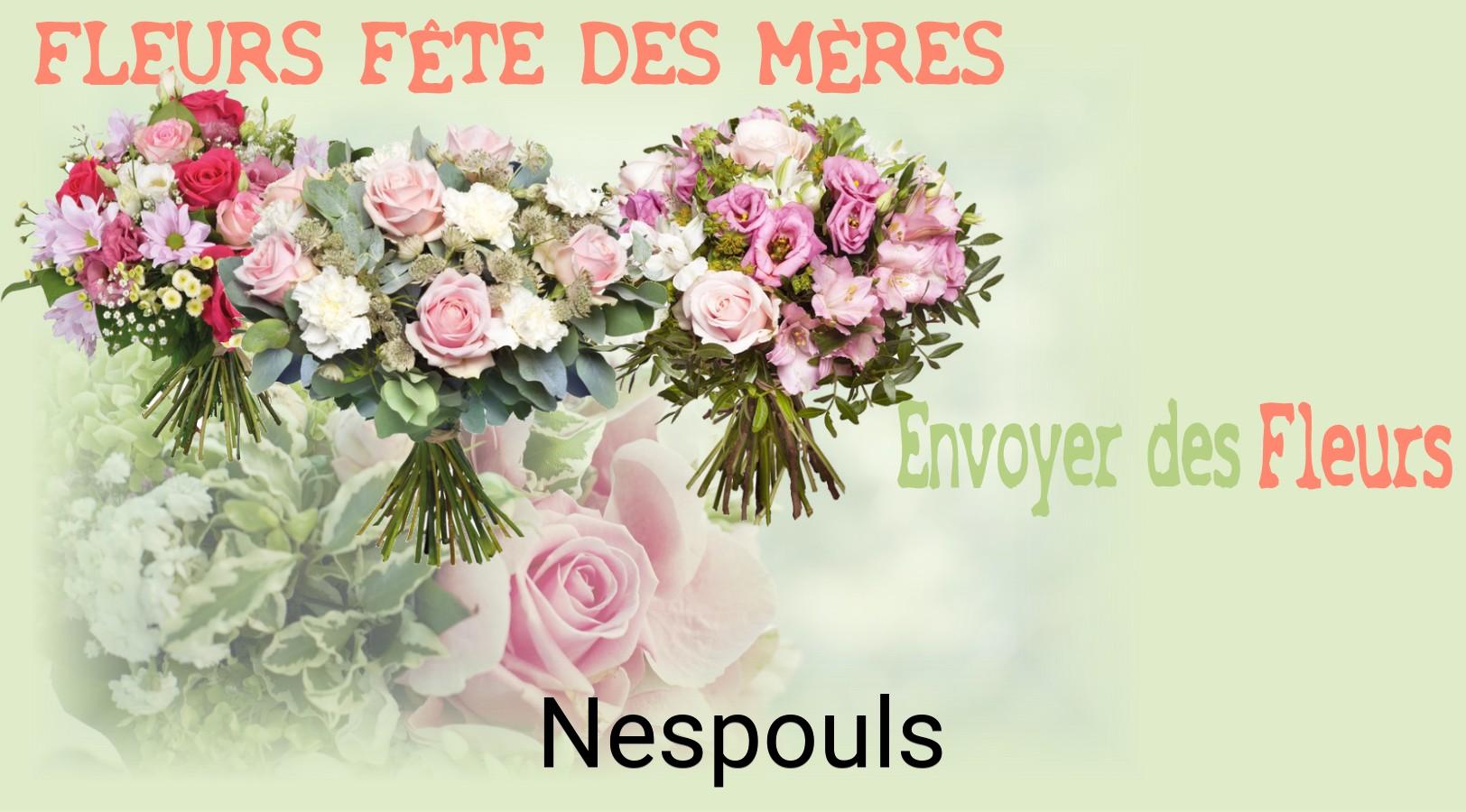 Bouquet de Fête des Mères livré à Nespouls
